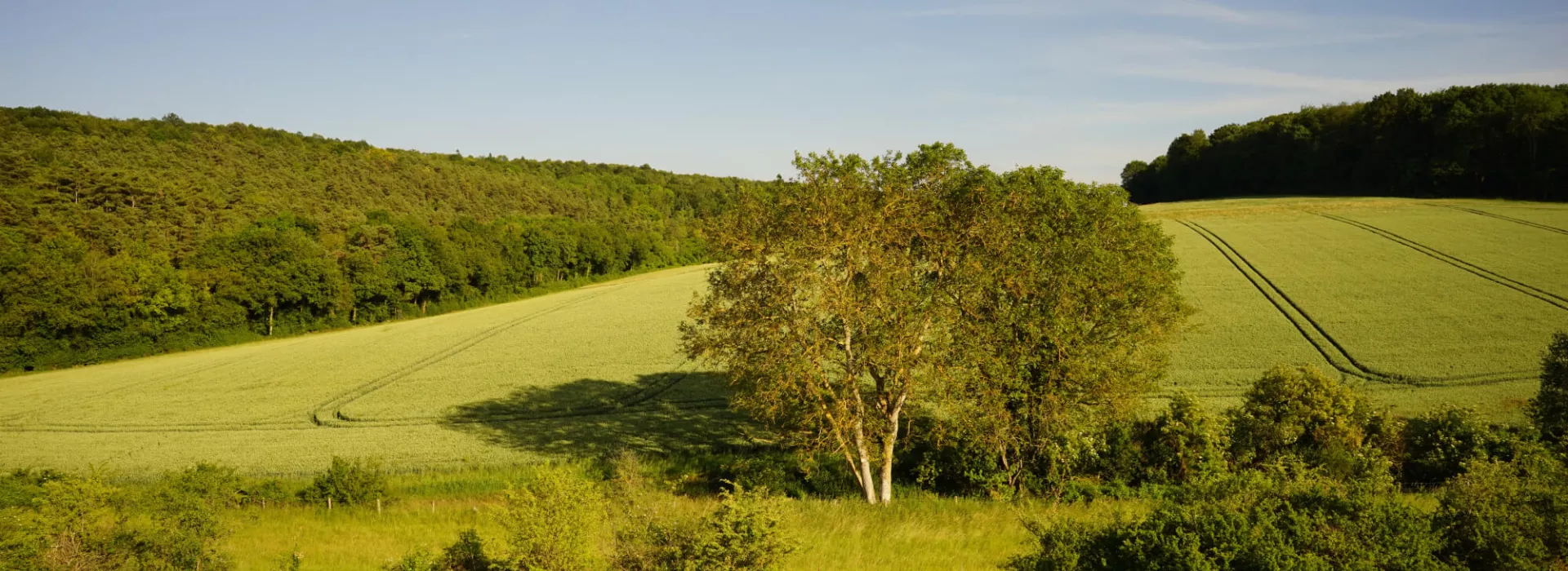 Vendre mon terrain en Normandie